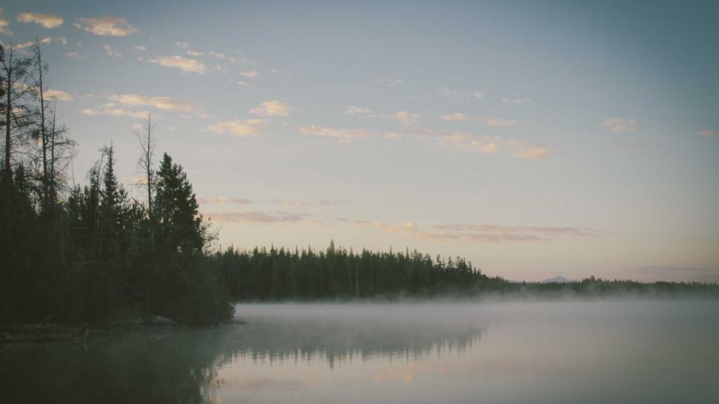 전기요금 인상 시기 2026 얼마