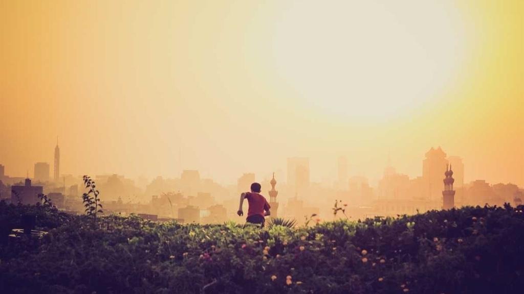 탈모 피나스테리드 비보험 가격 2026