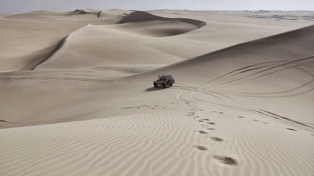 비급여 항목 건강보험 전환 목록 확인