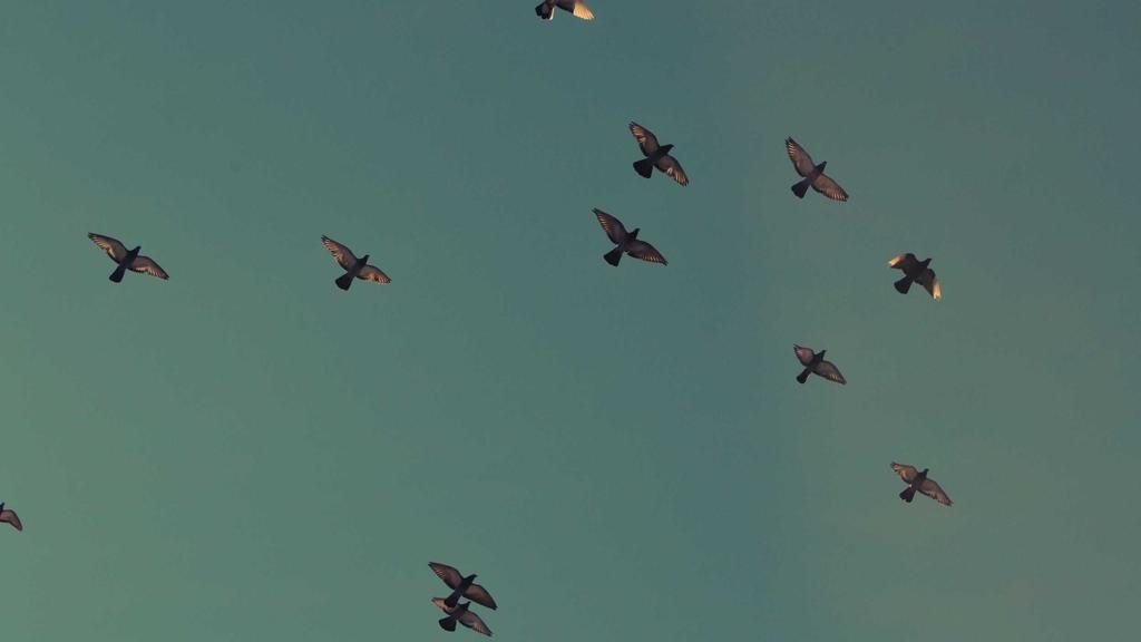 건강보험 본인부담금 계산 방법