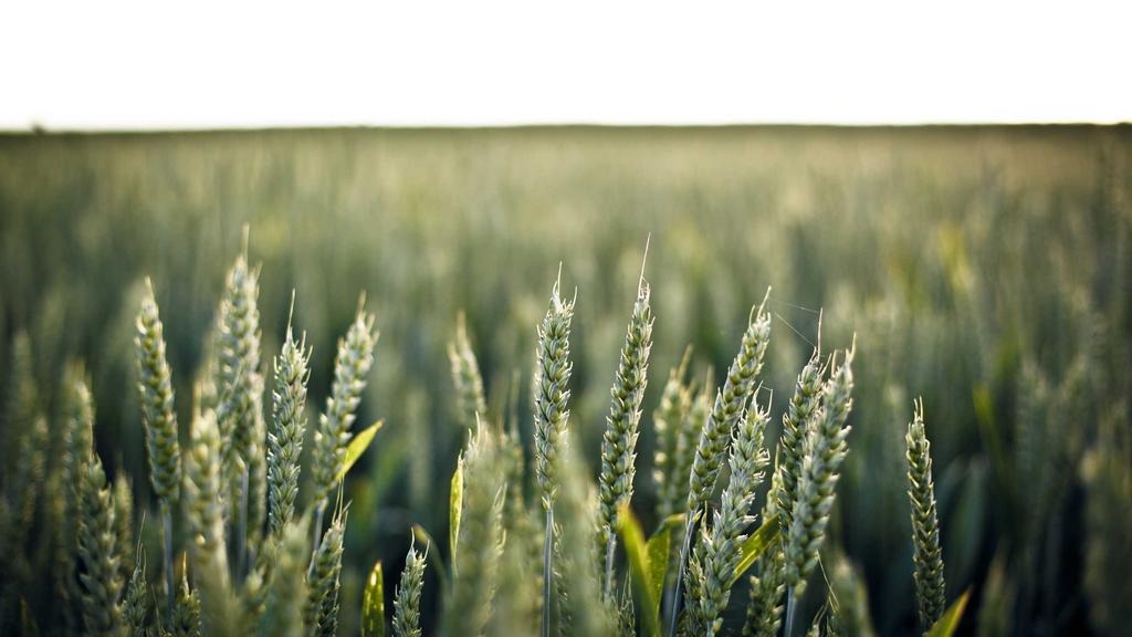 2026 건강보험 급여 비급여 항목 차이