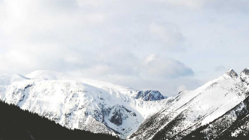 비급여 항목 건강보험 전환 확인 방법