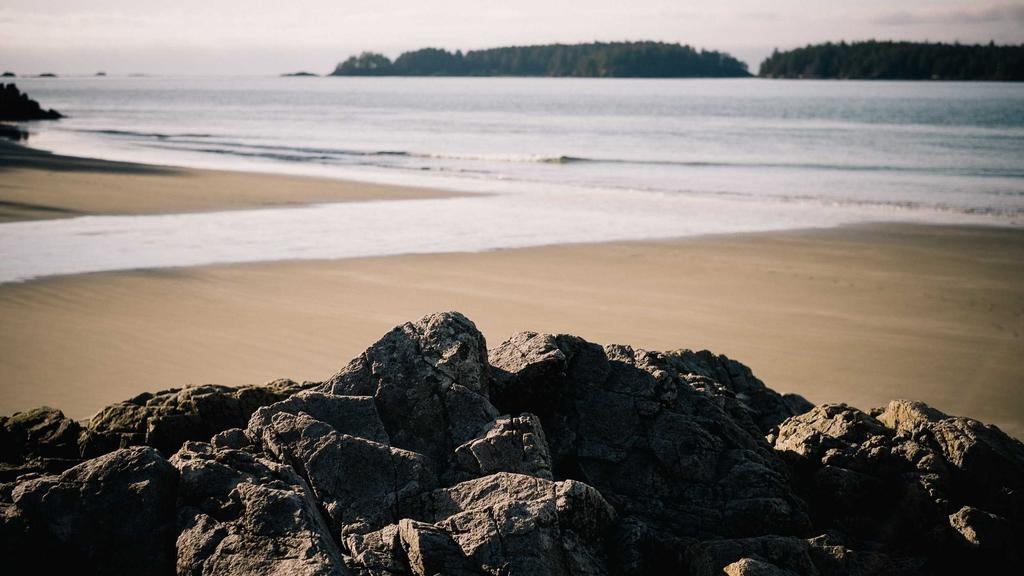 비급여 항목 건강보험 전환 확인 방법