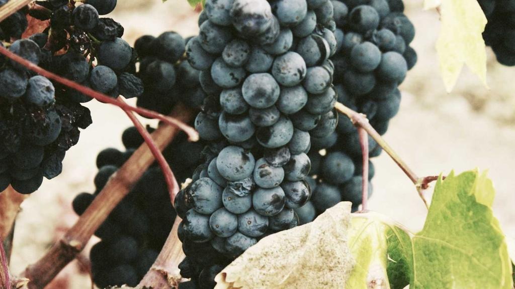 건강보험 진료비 환급 신청방법 2026