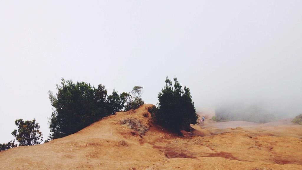 건강보험 약값 본인부담 상한제 신청