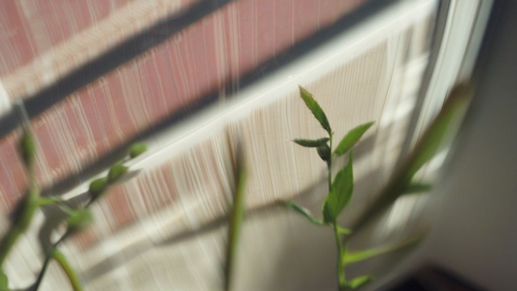 2027년 정부 지원금 혜택을 상징하는 아이콘들 (주택, 사업장, 취업)